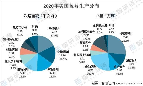 2020全球蓝莓种植情况分析：中国已成为全球最大的蓝莓种植地，产量占比达20%