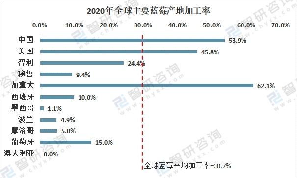 2020全球蓝莓种植情况分析：中国已成为全球最大的蓝莓种植地，产量占比达20%