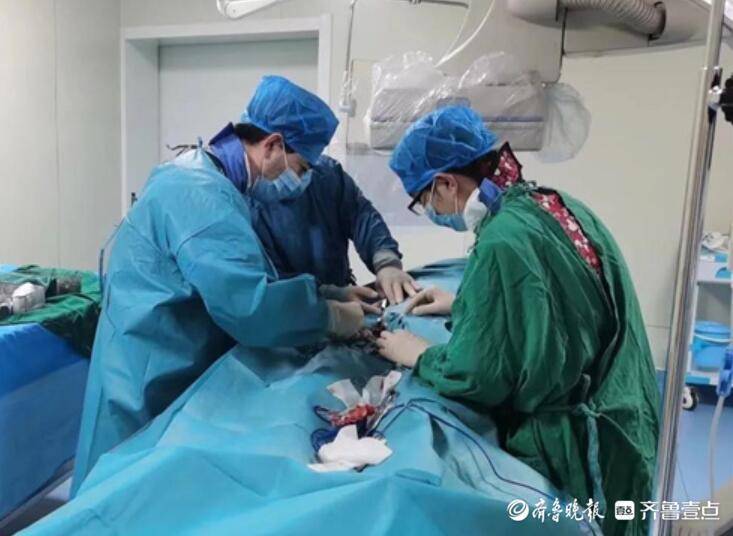 七旬老人患“腿梗”，手术取出20厘米长的血栓