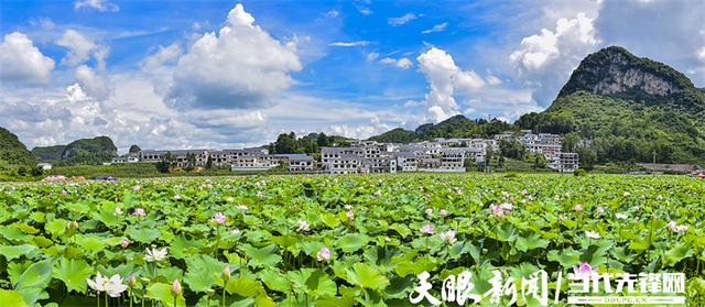 【“宜居乡村看安顺——诗意乡村”随拍网络征集活动】作品展播④