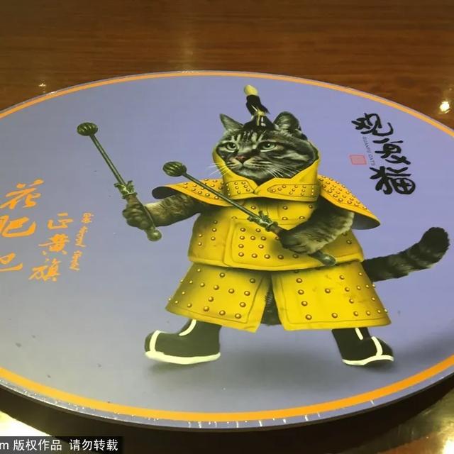 故宫“御猫”为首！北京景区里的猫实在太可爱了！