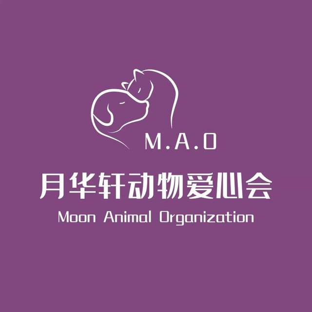 M.A.O真正的流浪动物保护者