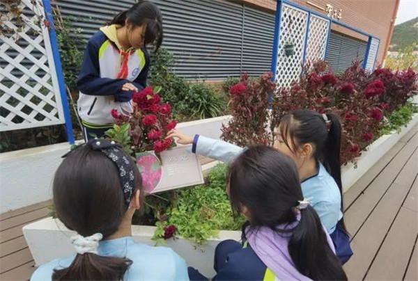 青岛崂山区第三实验小学开展中医药文化主题队活动