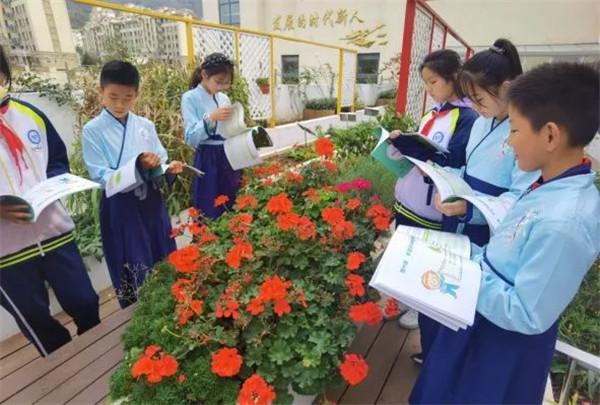 青岛崂山区第三实验小学开展中医药文化主题队活动