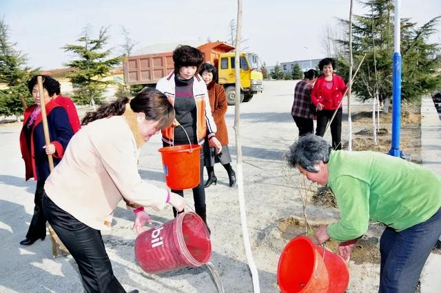 【精致进农家 美丽满庭院】区市篇：乳山市 微力量发挥大作用 小庭院扮靓新生活