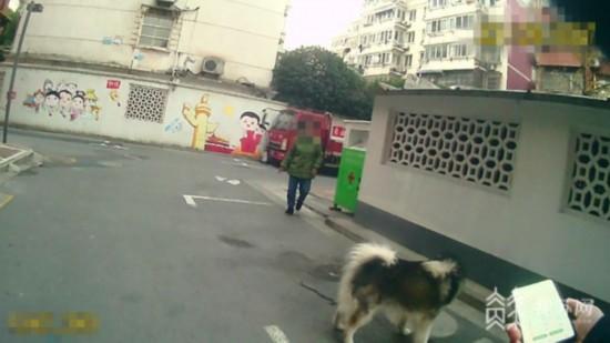 南京一居民腌的香肠全被偷吃 小偷是只宠物犬