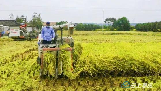 恩施州首个！利川入列农作物全程机械化示范县