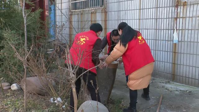 扮靓家园振兴乡村/孟州市各单位齐心协力助力农村人居环境整治