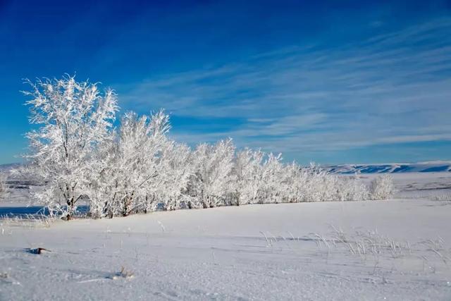 如梦如幻，雪后的兵团秒变童话世界