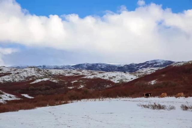 如梦如幻，雪后的兵团秒变童话世界