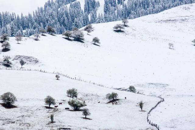 如梦如幻，雪后的兵团秒变童话世界