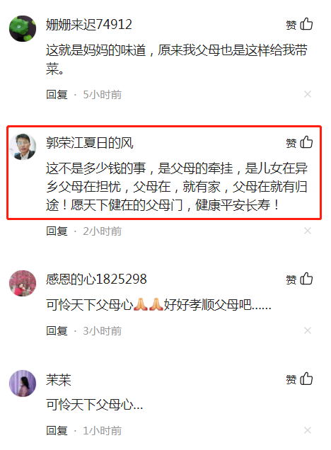 男子收到母亲的快递，埋怨快递费贵，母亲：再贵也是家里东西好吃