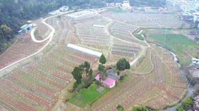 四川水土保持晒出“成绩单”