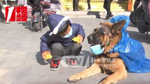 警犬“新造型”巡逻遭围观！新任务是………