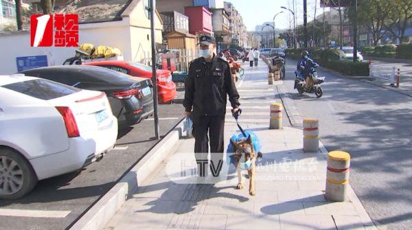 警犬“新造型”巡逻遭围观！新任务是………