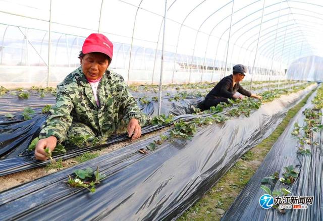 九江全力打造特色产业基地