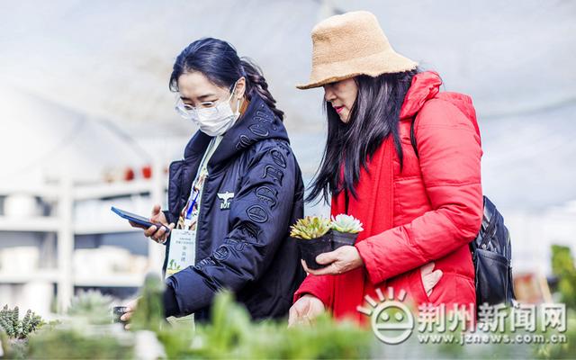 “走基层 看发展 跟着小风乡村行”首站走进江陵县熊河镇