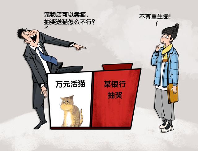 漫·议 |“万元萌猫”当奖品？莫把动物当玩物