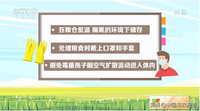 小心！若是吸入这种霉菌，可能不知不觉感染强致癌物