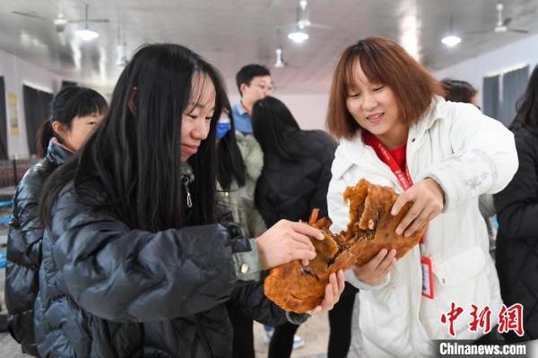 湖南平江一工厂食堂制巨型辣条饺子迎冬至