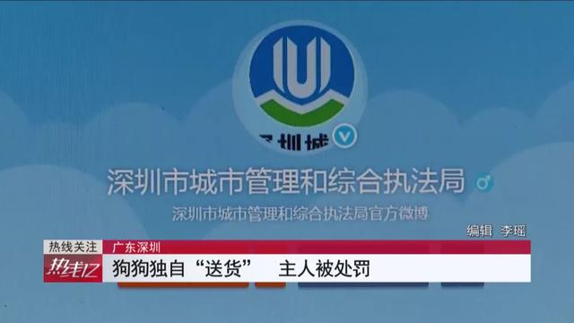 广东深圳：狗狗独自下楼“送水杯”，犬主被依法警告并罚款500元