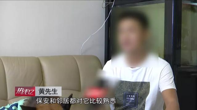 广东深圳：狗狗独自下楼“送水杯”，犬主被依法警告并罚款500元