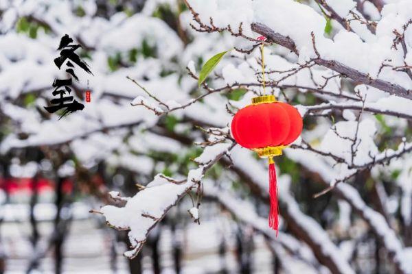 今日冬至 数九寒天 守护不变