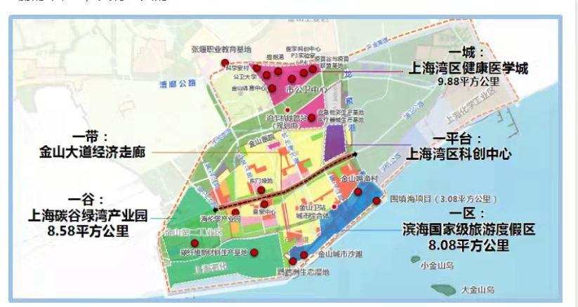 打造湾区会客“新空间” ，金山大道经济走廊党建联盟织就“一带一片”双面绣