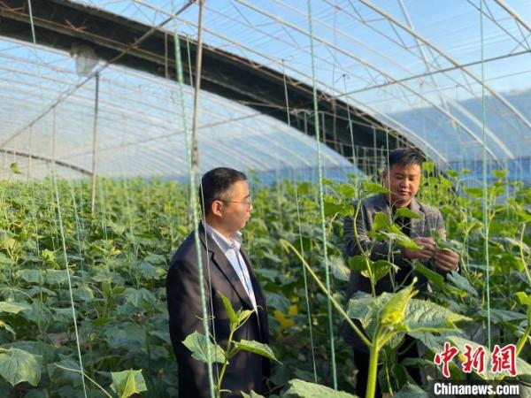 “新农人”回乡 河北乡村振兴新变