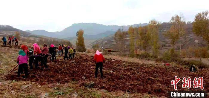 青海“东大门”民和：“脑山草坡”变幸福家园