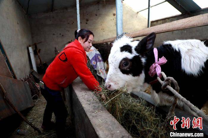 青海“东大门”民和：“脑山草坡”变幸福家园