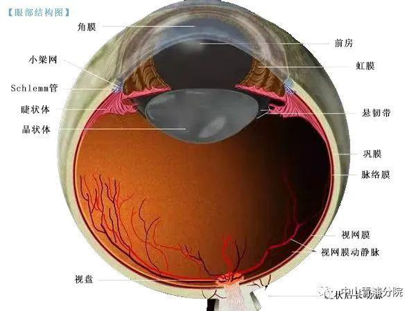 眼睛出血，究竟可不可怕？