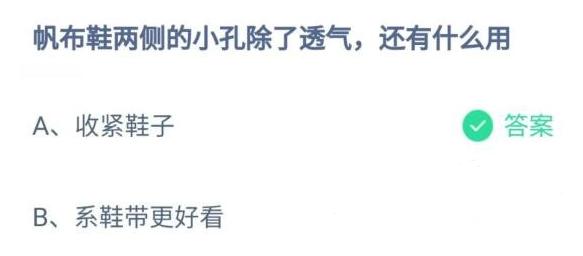 帆布鞋两侧的小孔除了透气还有什么用？支付宝蚂蚁庄园12月23日最新答案