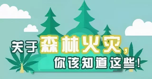 防患于未“燃”！ 这些森林防火知识你必须知道