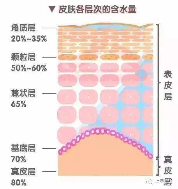 “肌”不可失，冬季护肤你需要知道这些→