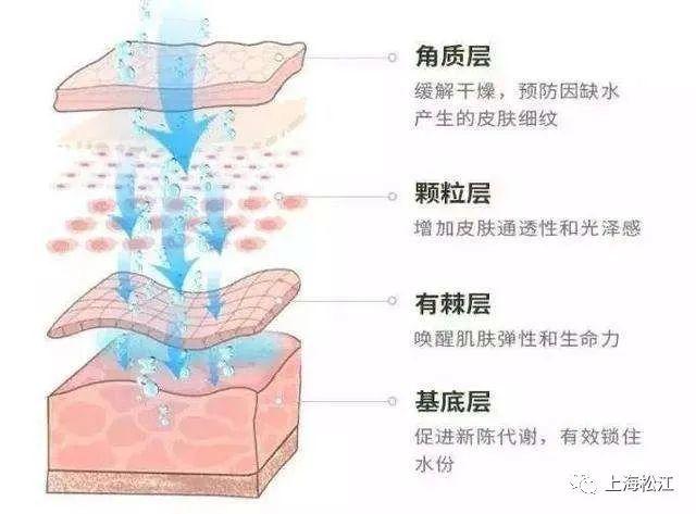 “肌”不可失，冬季护肤你需要知道这些→