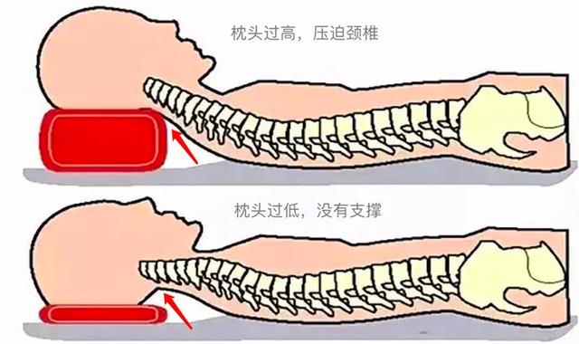 枕头，还是希尔顿的舒服