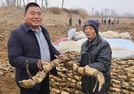 新郑岗村的种植莲菜人 泥里“淘金”过上幸福生活