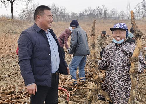 新郑岗村的种植莲菜人 泥里“淘金”过上幸福生活