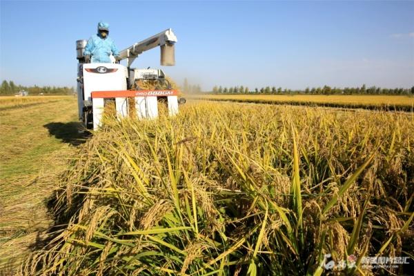 新疆10地入选这一国家级名单