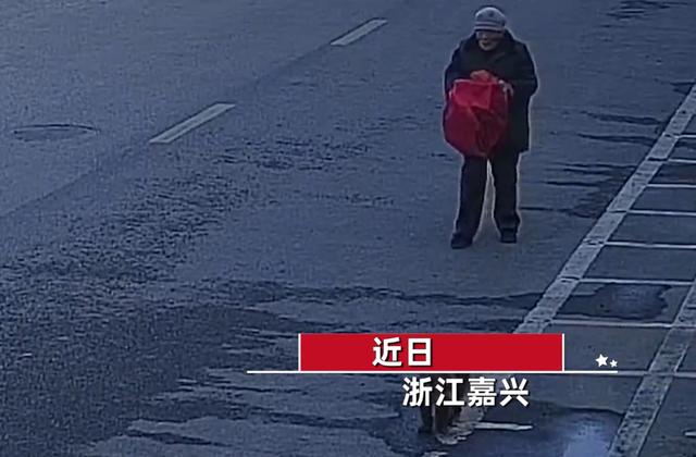 浙江一9旬奶奶走失家人慌忙寻找，民警查看监控发现暖心一幕：家中狗狗一路陪伴左右