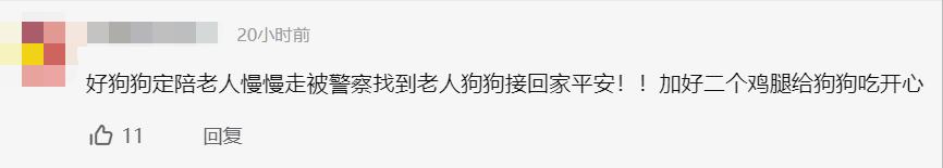 浙江一9旬奶奶走失家人慌忙寻找，民警查看监控发现暖心一幕：家中狗狗一路陪伴左右