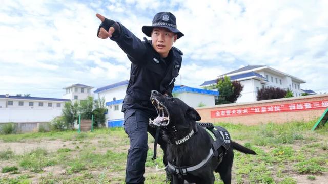 训犬员与“追风”的故事：是师生亦是兄弟，忠诚即是本色！