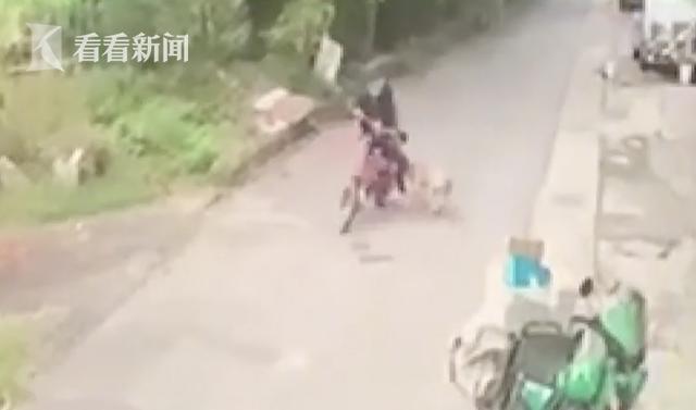 比特犬发狂挣脱铁链狠咬老人！狗主人拉都拉不住