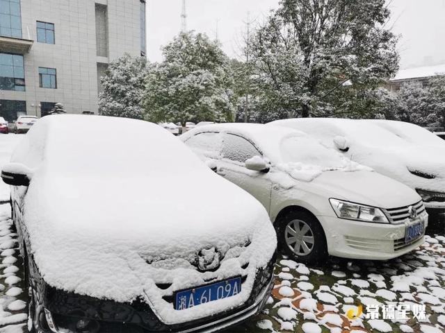 黄狗身上白，白狗身上肿！常德下大雪啦