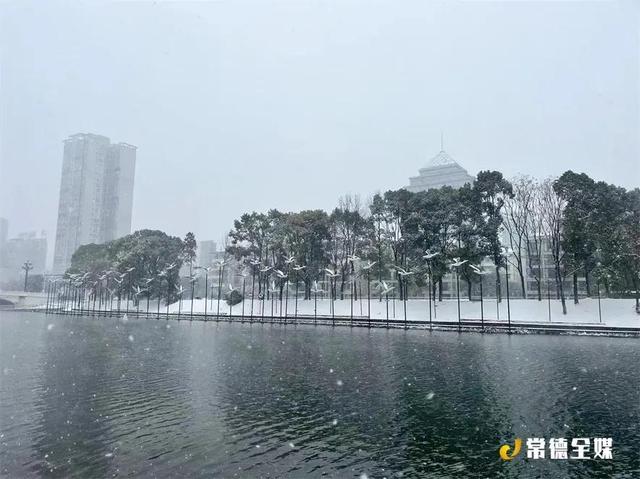 黄狗身上白，白狗身上肿！常德下大雪啦