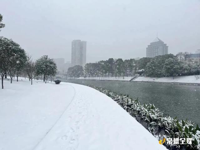 黄狗身上白，白狗身上肿！常德下大雪啦