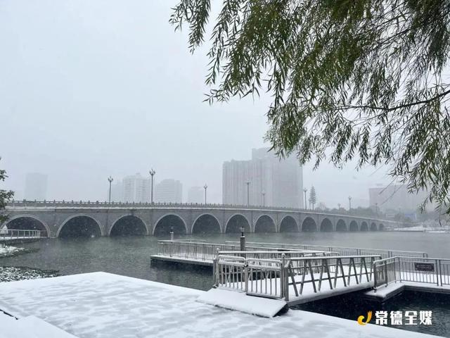 黄狗身上白，白狗身上肿！常德下大雪啦