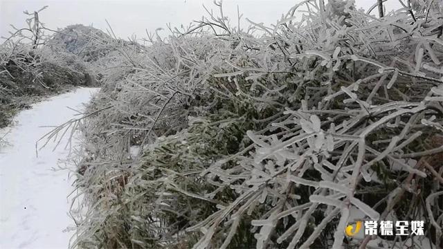 黄狗身上白，白狗身上肿！常德下大雪啦