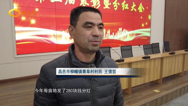 农业综合体带领村民迈上致富路